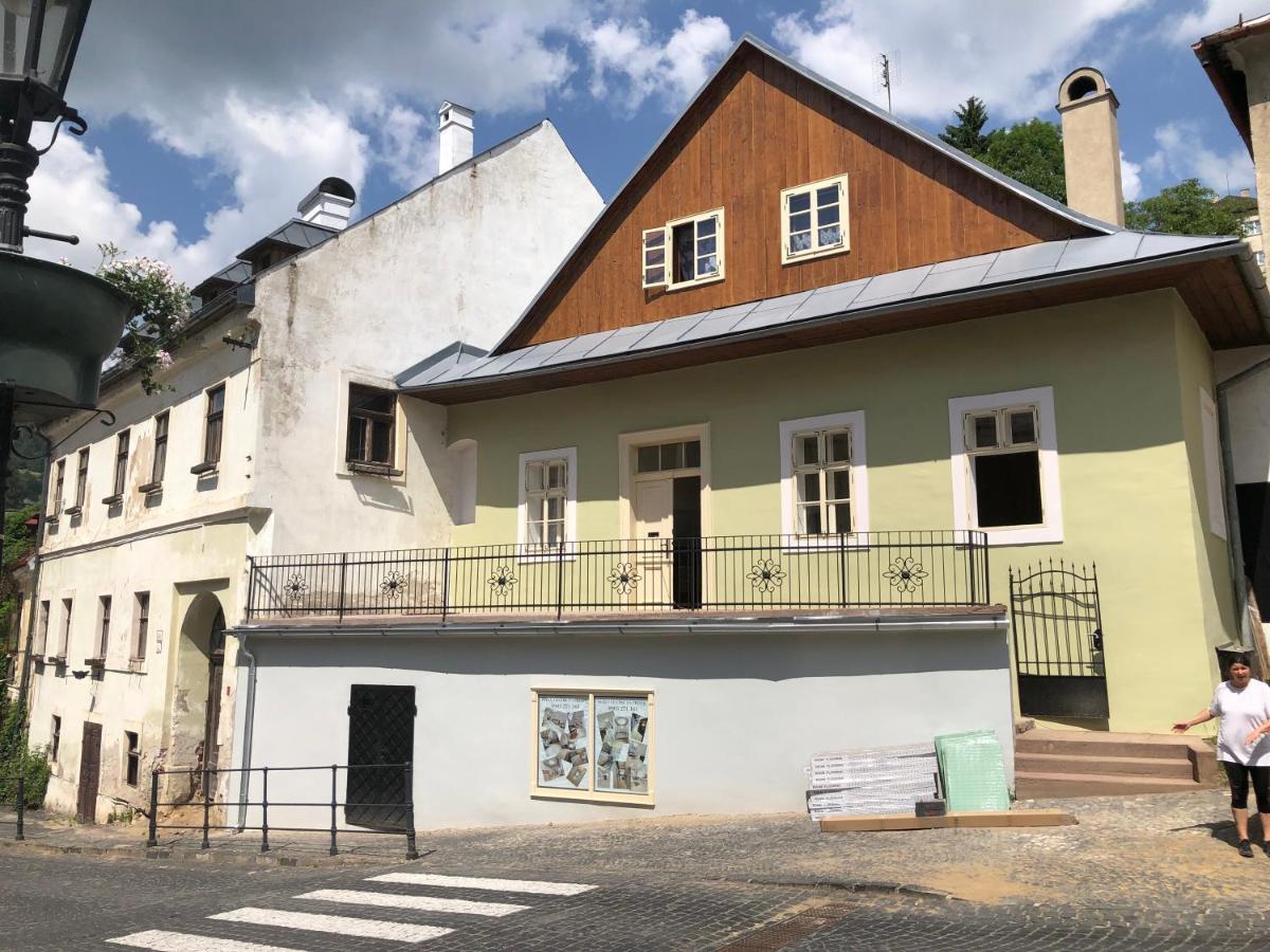 Apartman Vila Rosenberg Banská Štiavnica المظهر الخارجي الصورة